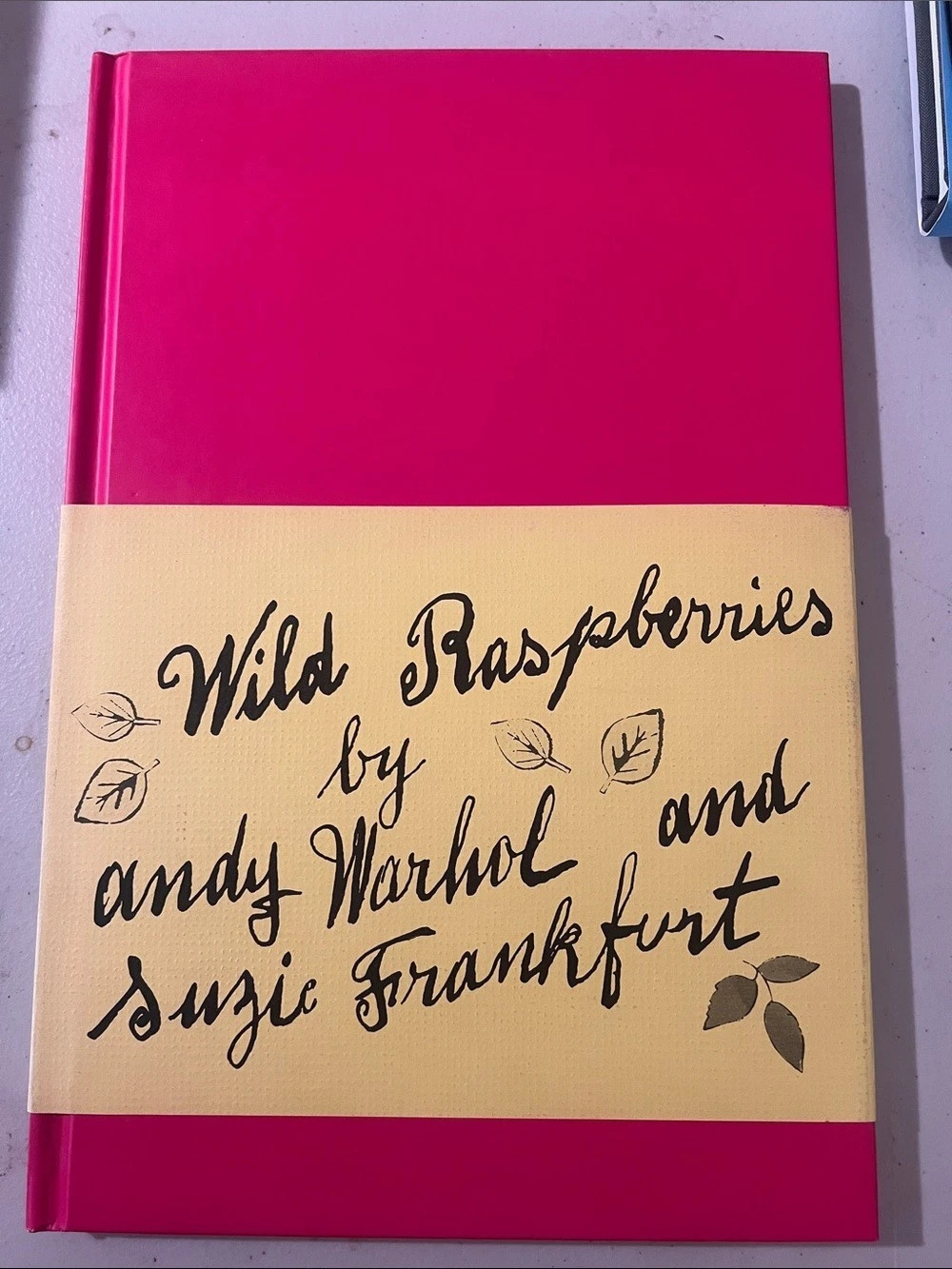 Andy Warhol Illustrated Art Book-Wild Raspberries - Exceptional Quality